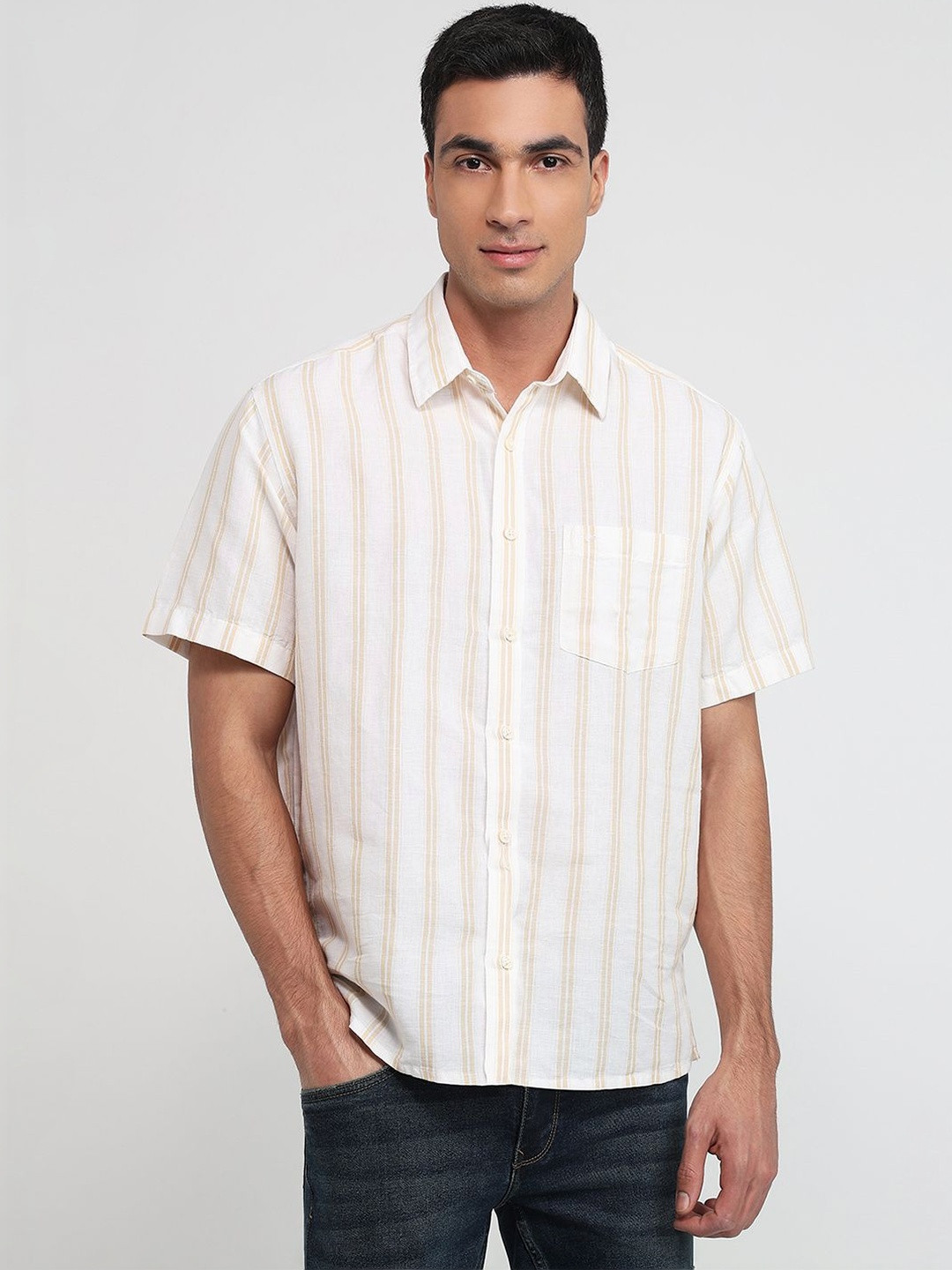 ColorPlus Men Classic Striped Casual Shirt