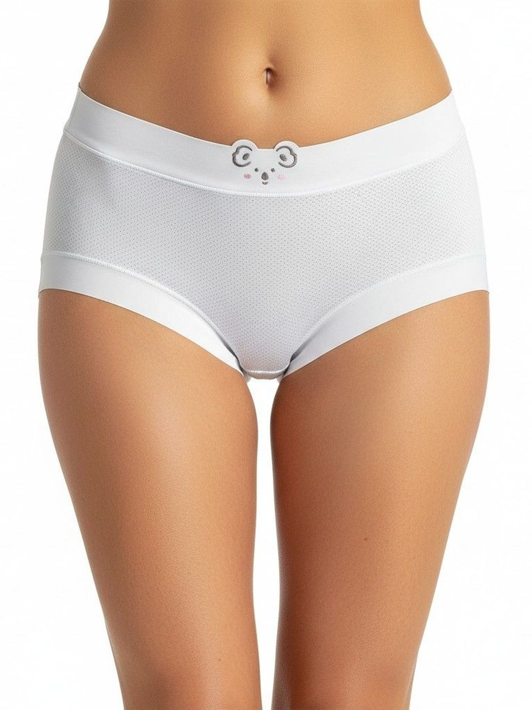 Moda Rapido Women Self Design Anti Bacterial Lace Assorted Cotton Blend Basic Briefs