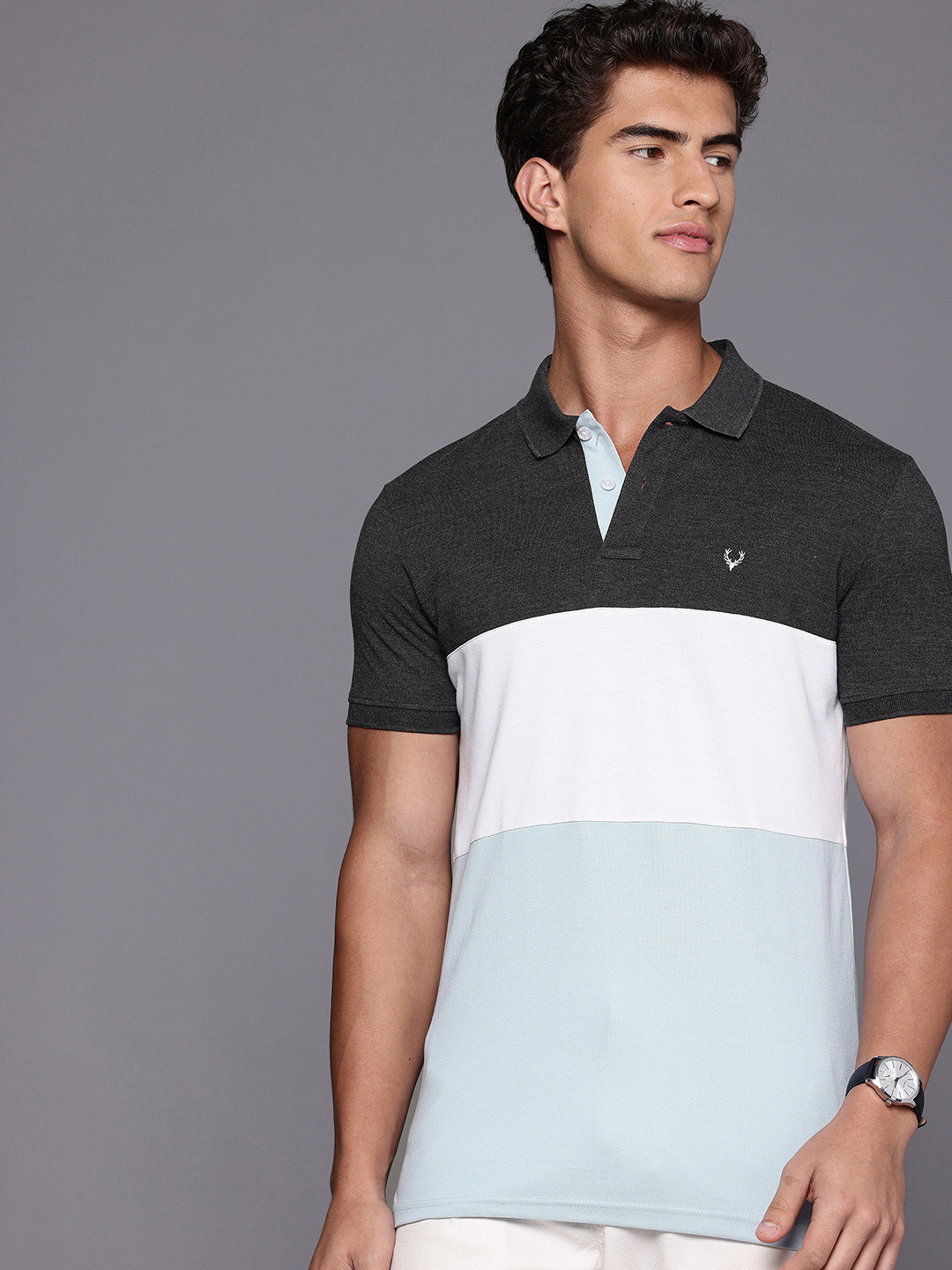 Allen Solly Colourblocked Polo Collar T-shirt