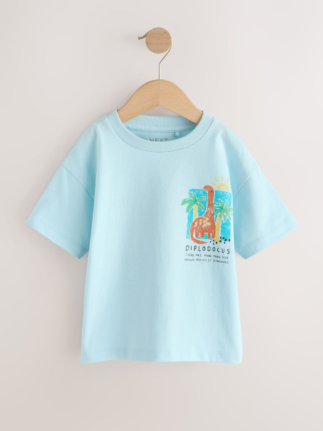 NEXT Boys Printed Cotton T-shirt