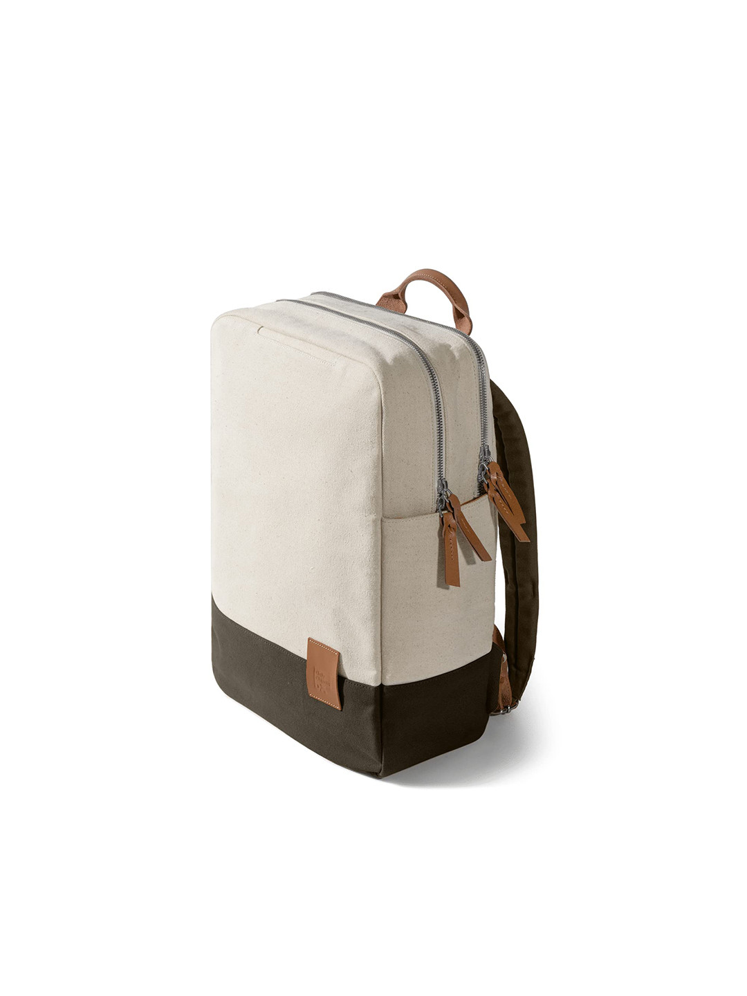 DailyObjects C Colourblocked Medium Ergonomic Laptop Compartment Structured Backpacks