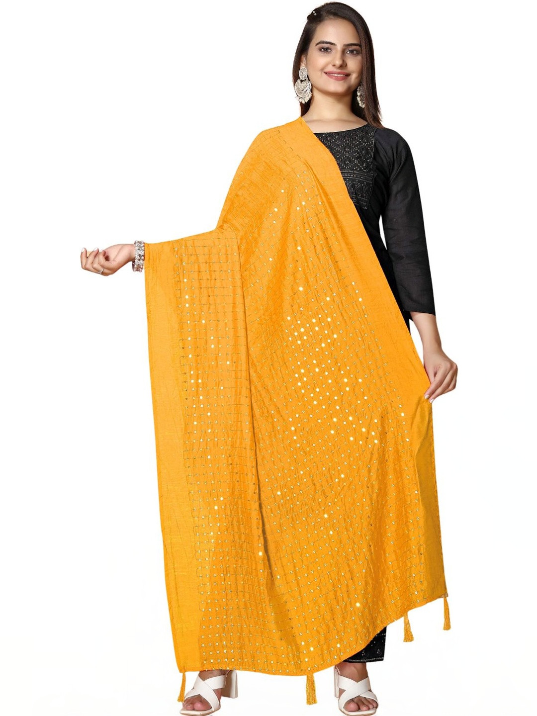 SEKMANY Embroidered Dupatta with Mirror Work