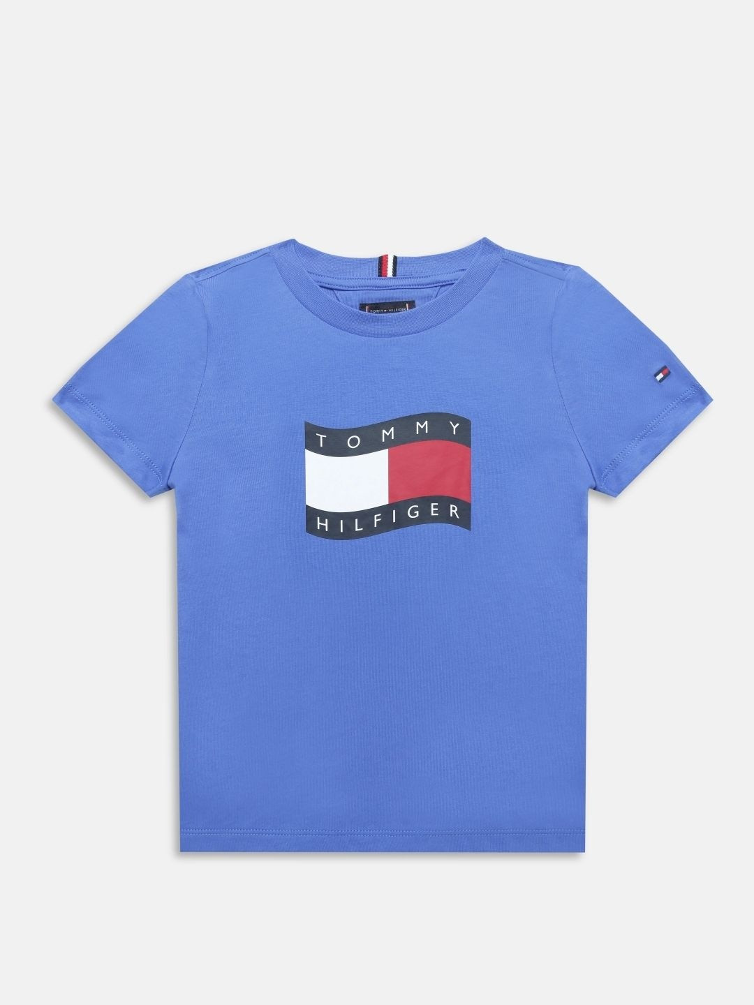 Tommy Hilfiger Boys Blue Cotton Tshirts