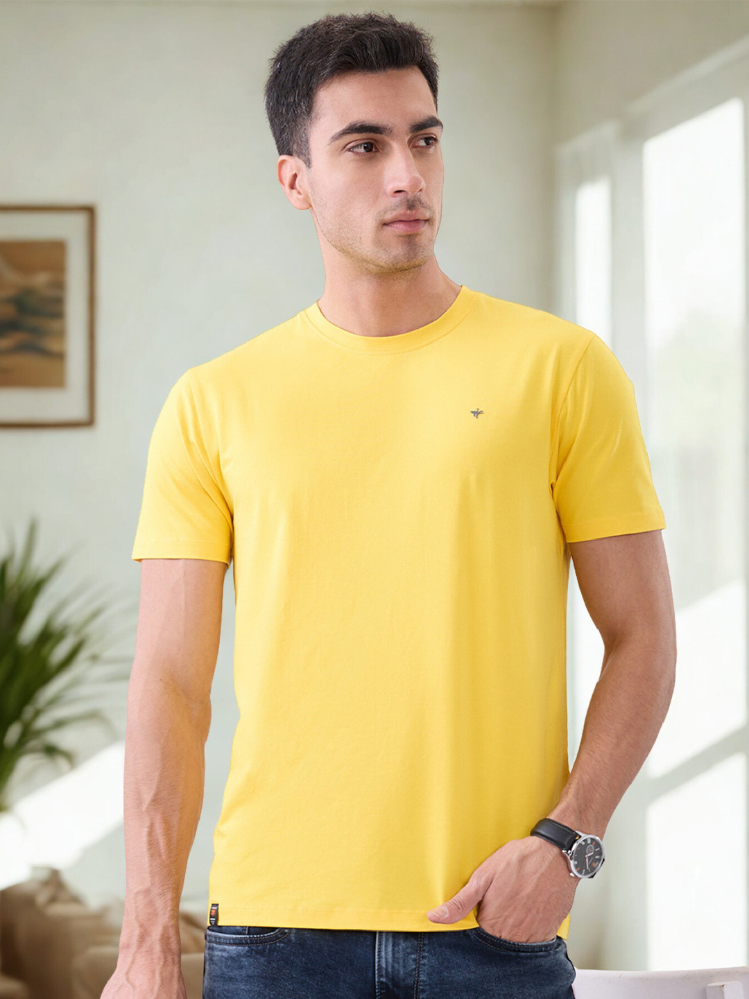 nostrum Men Solid Round Neck Cotton T-shirt