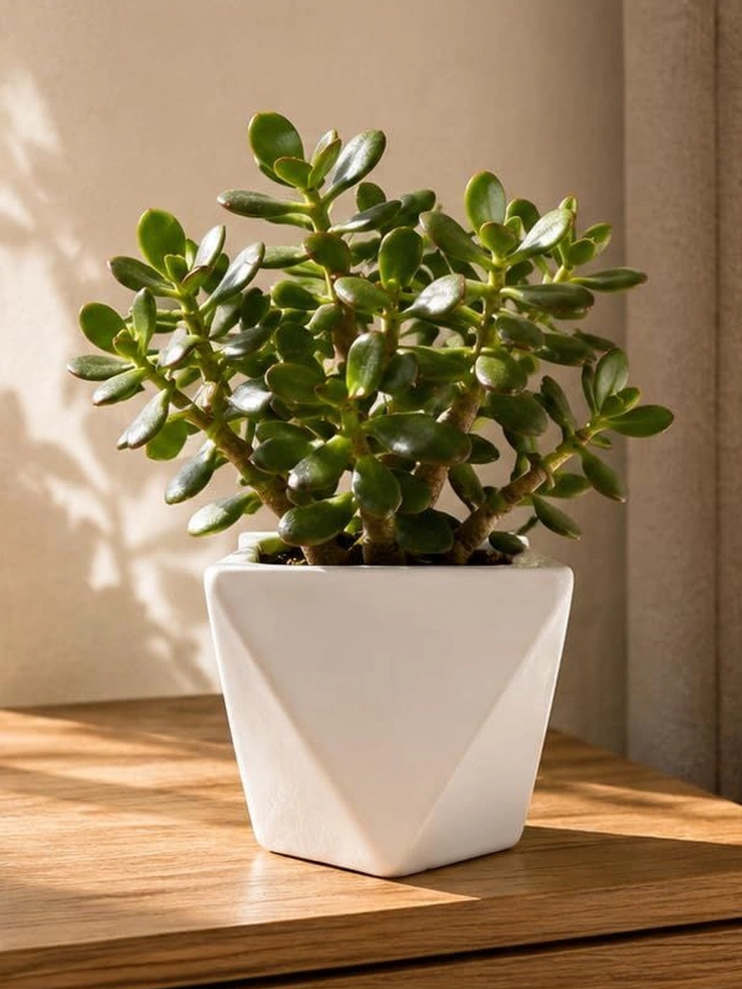 LASAKI White Ceramic Durable Round Planters