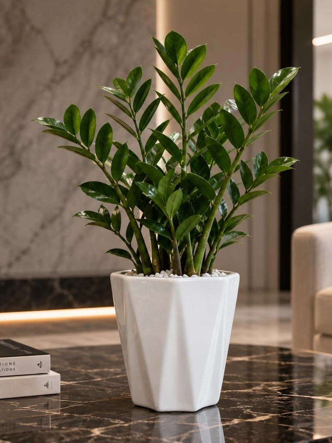 LASAKI White Ceramic Durable Round Planters With Plate