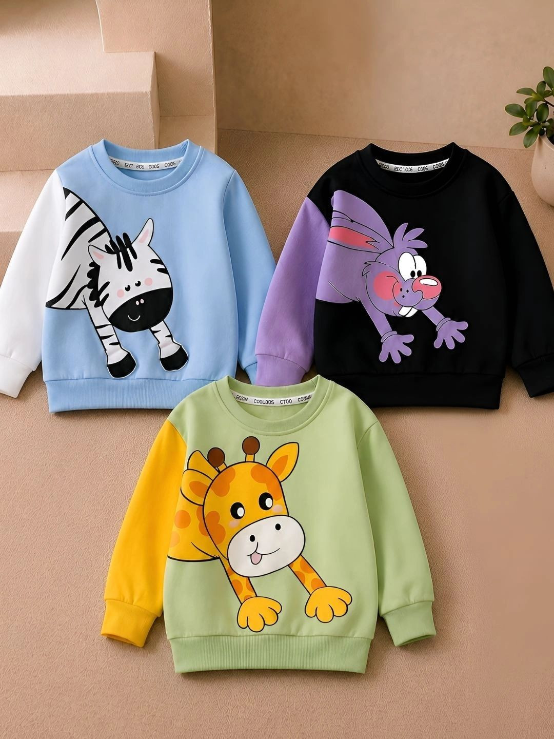CUTE N TIGHT Unisex Kids Colourblocked Sweatshirt