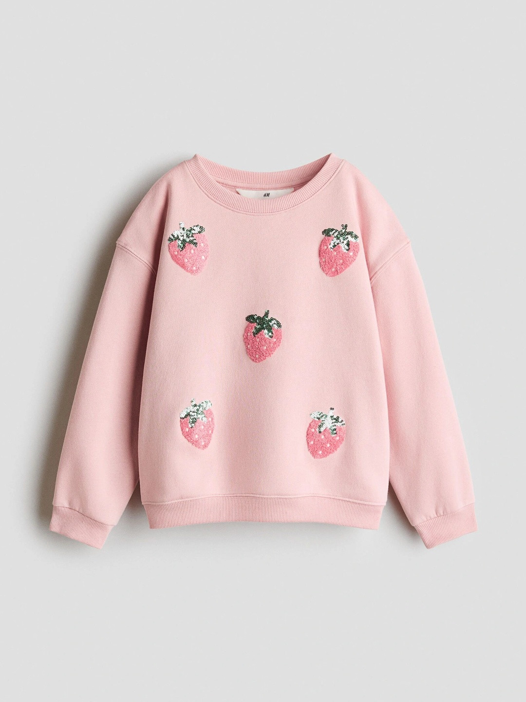 H&M Motif-Detail Brushed-Inside Sweatshirt
