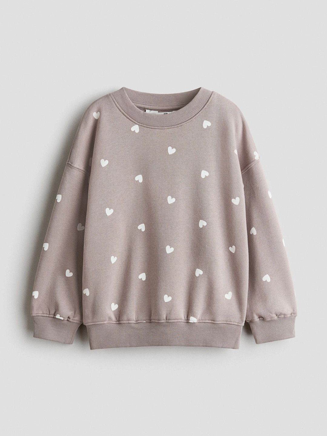 H&M Brushed-Inside Sweatshirt