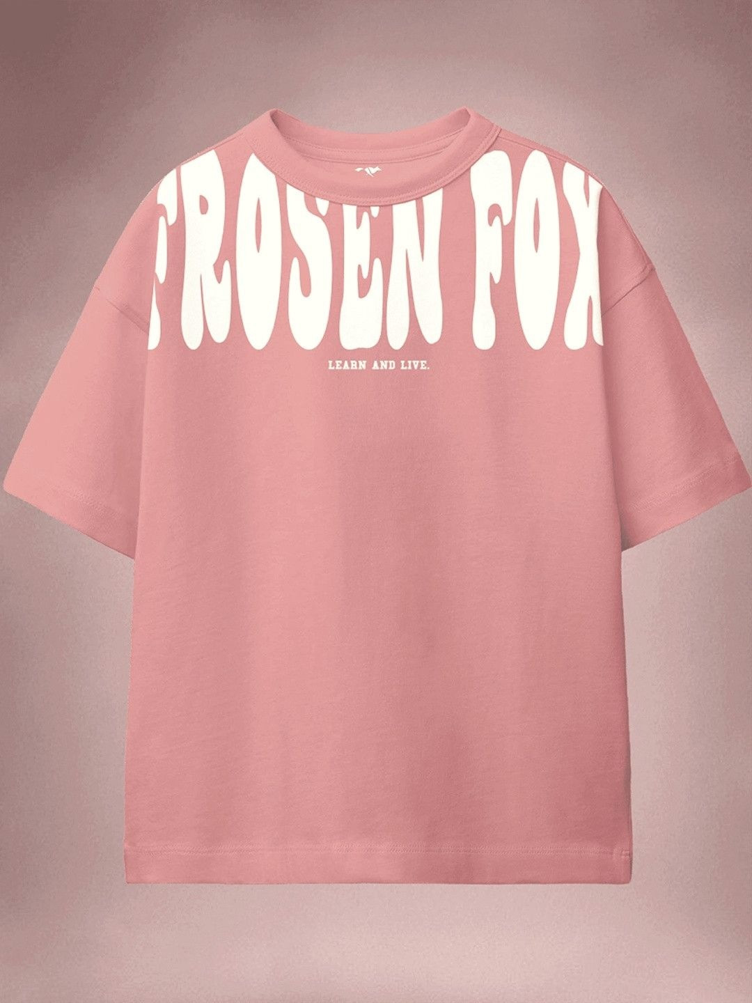 FROSEN FOX Boys Cotton Tshirts