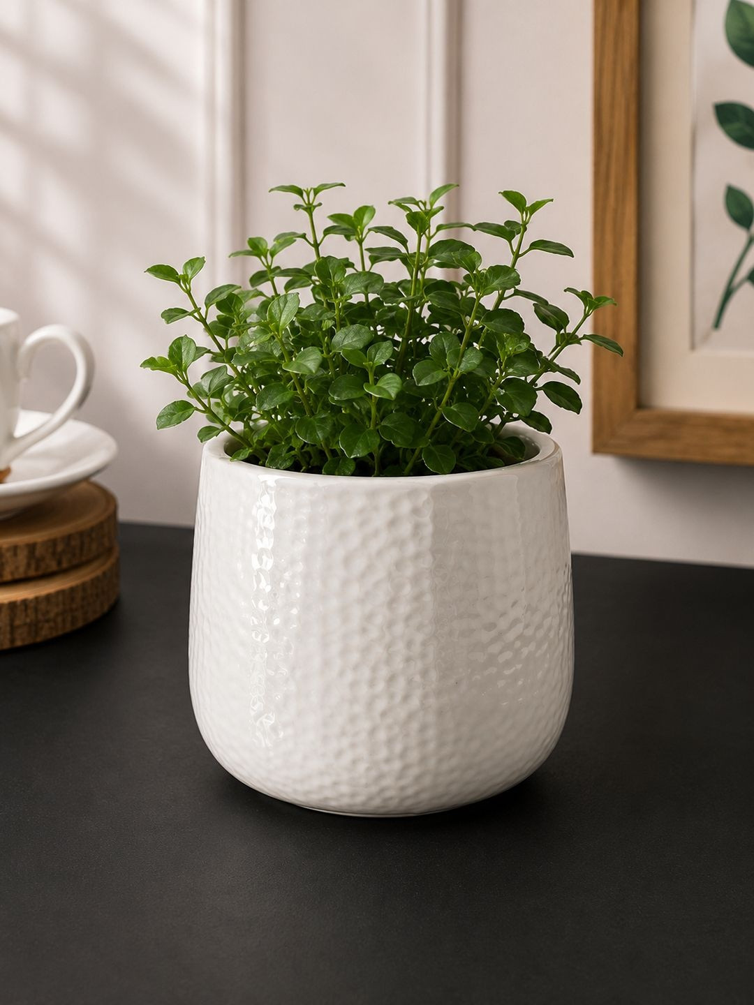 TAYHAA Off-White Textured Design Ceramic Planter