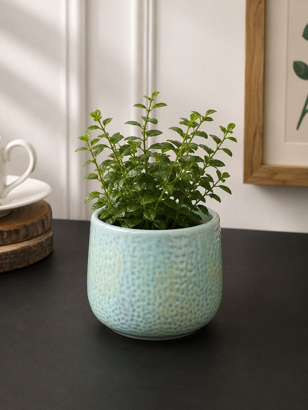 TAYHAA Teal Blue Textured Ceramic Planter