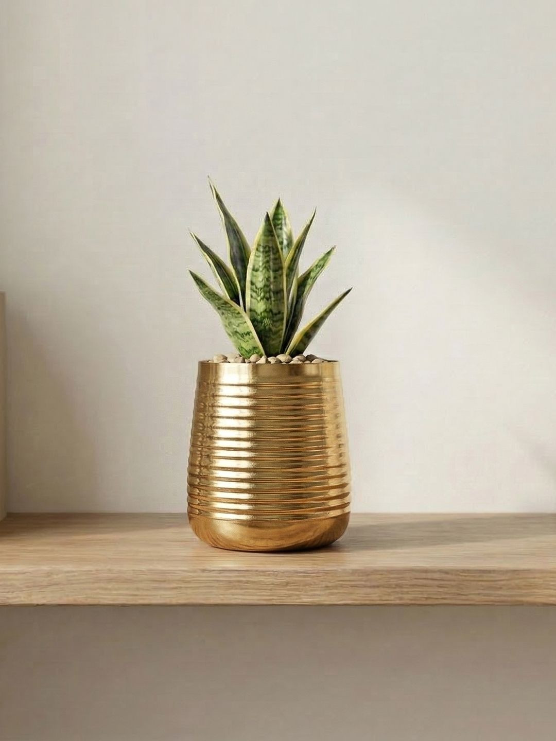 ExclusiveLane Golden Glow 13 cm Decorative Ribbed Metal Planter