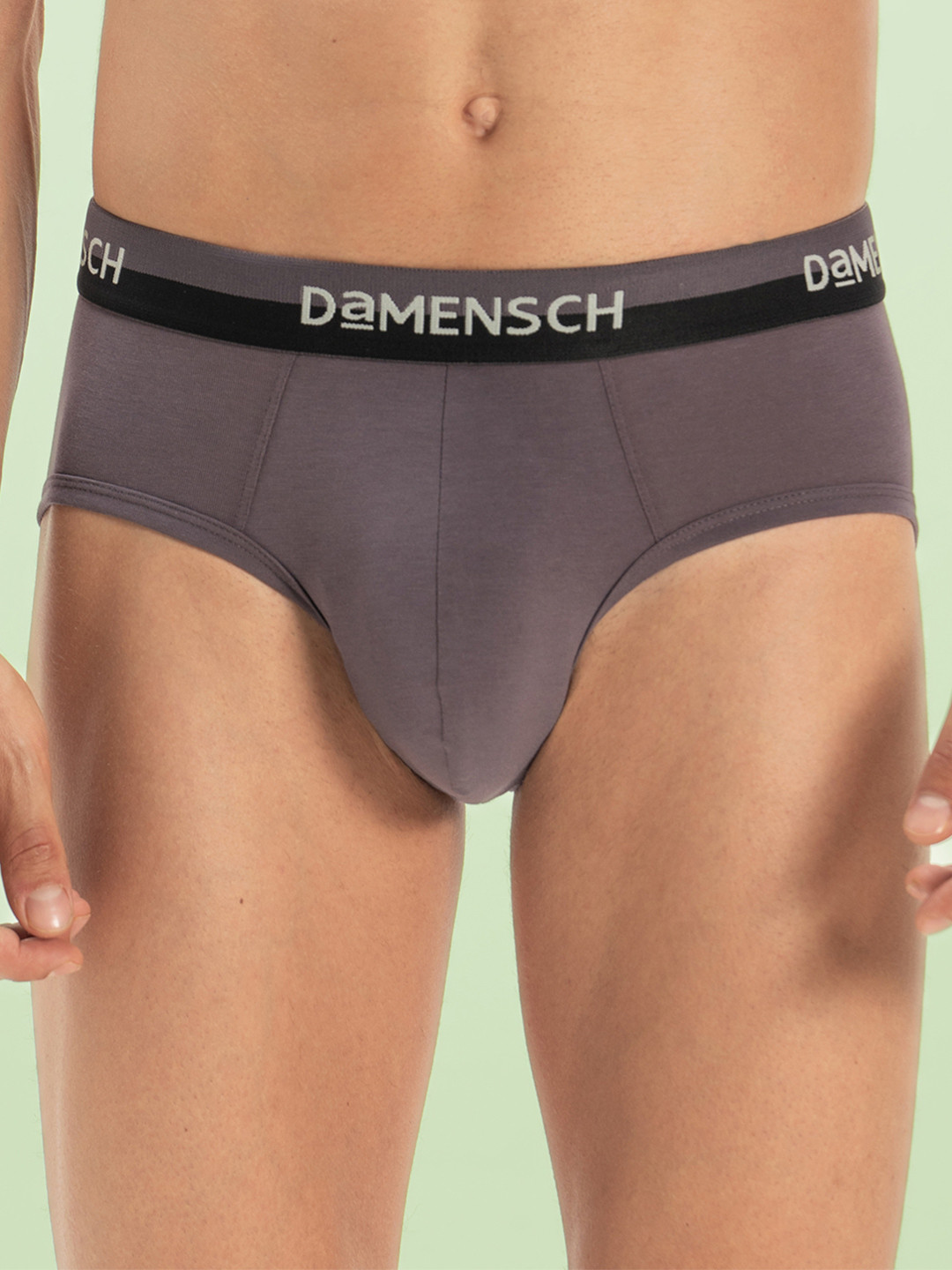 DAMENSCH Outer-Elastic Briefs BR1048-GMGGRY