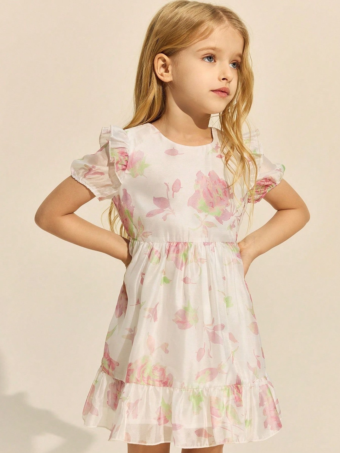 TIOR Floral Print Puff Sleeve Ruffled Net Fit & Flare Dress