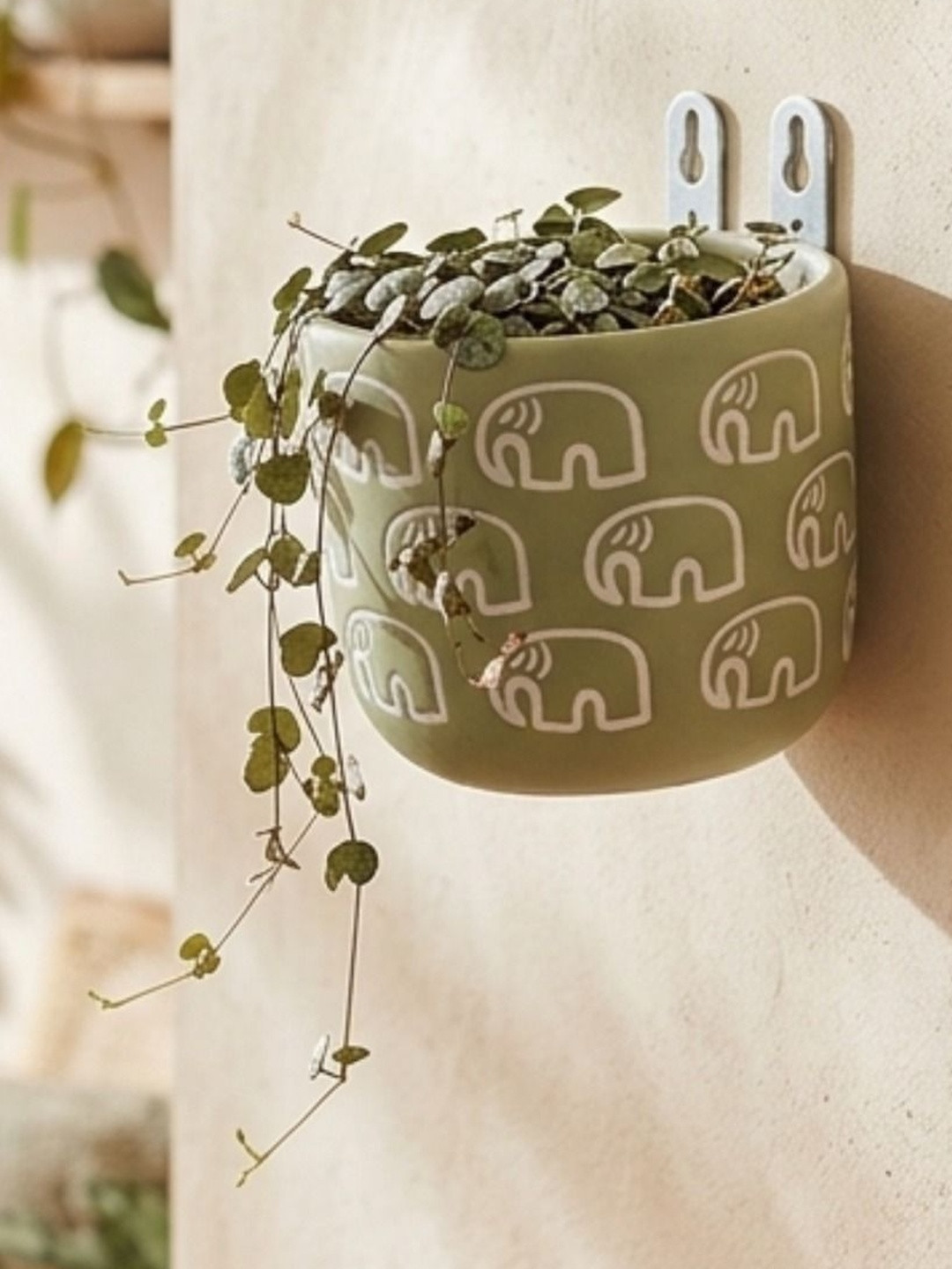 Wonderland Green & White Printed Round Hanging Planters