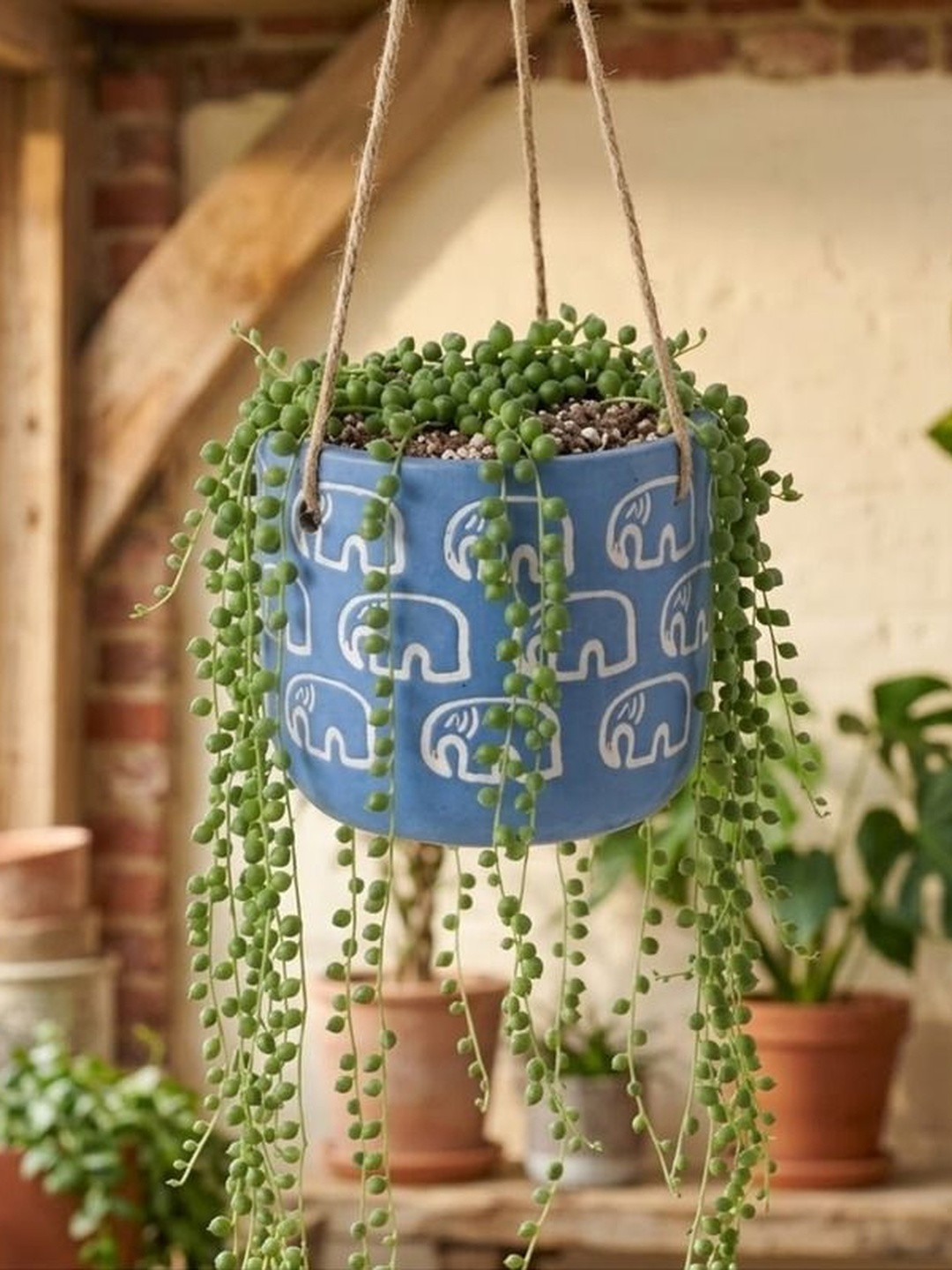 Wonderland Blue & White Printed Round Hanging Planters