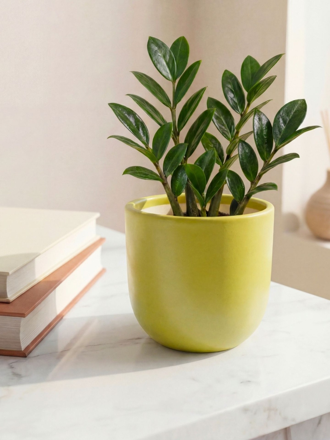 ecofynd Green Ceramic Glossy Round Planter