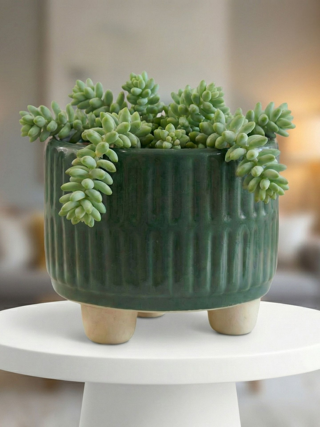 ecofynd Green Textured Ceramic Planter Pot
