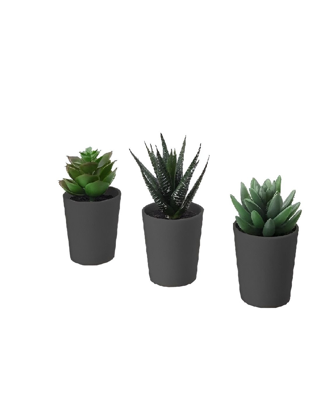 paperi Black 3 Pieces Succulent Artificial Plant With Pot