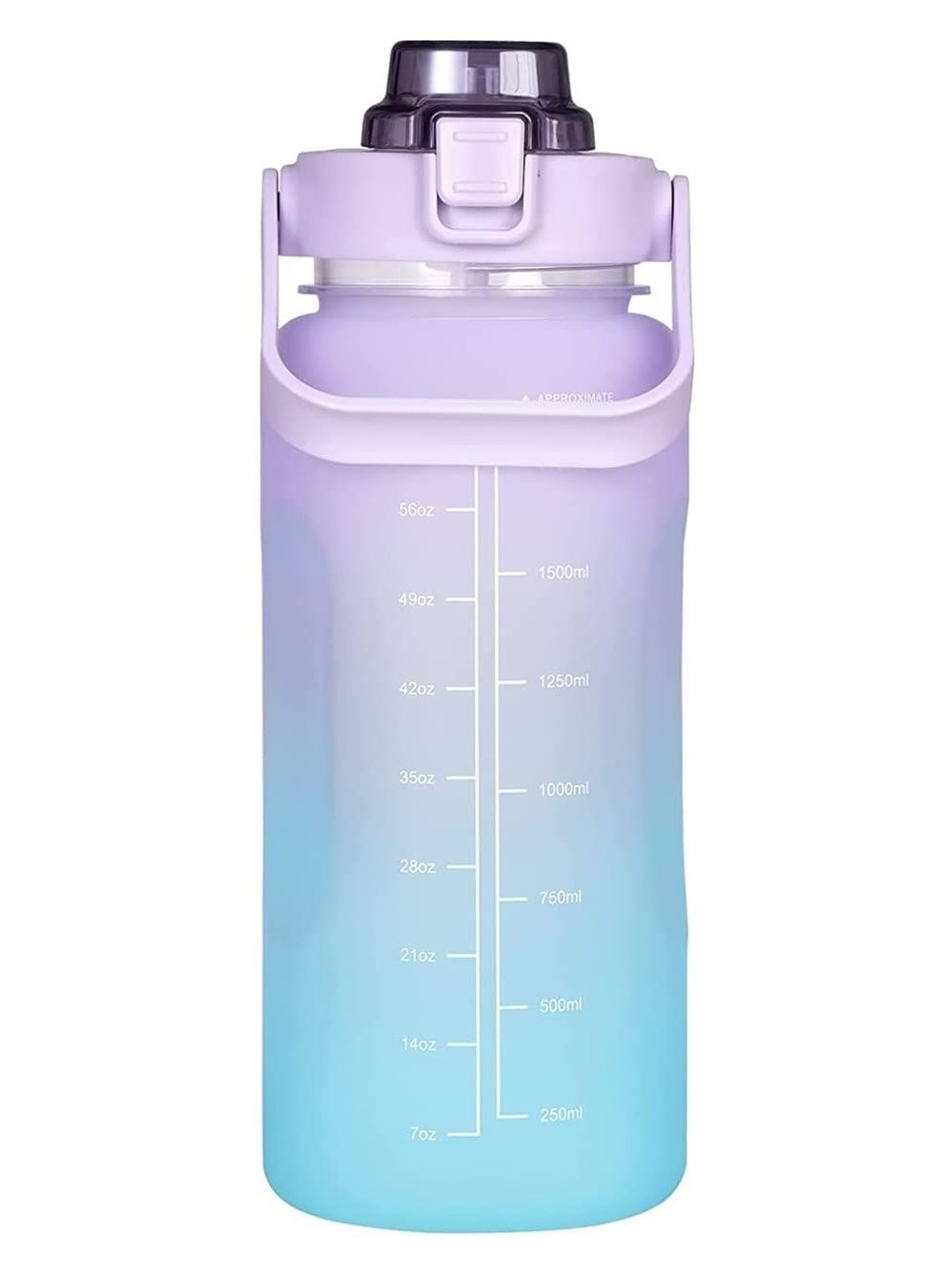 Myntra Elegant Homes Purple Single Plastic Solid Water Bottle
