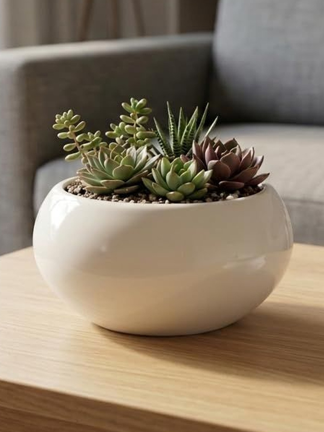 LASAKI White Round Durable Ceramic Planters