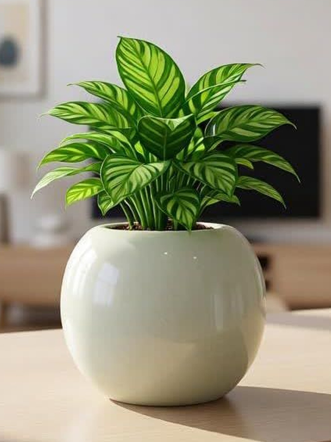 LASAKI Offwhite Round Durable Ceramic Planters