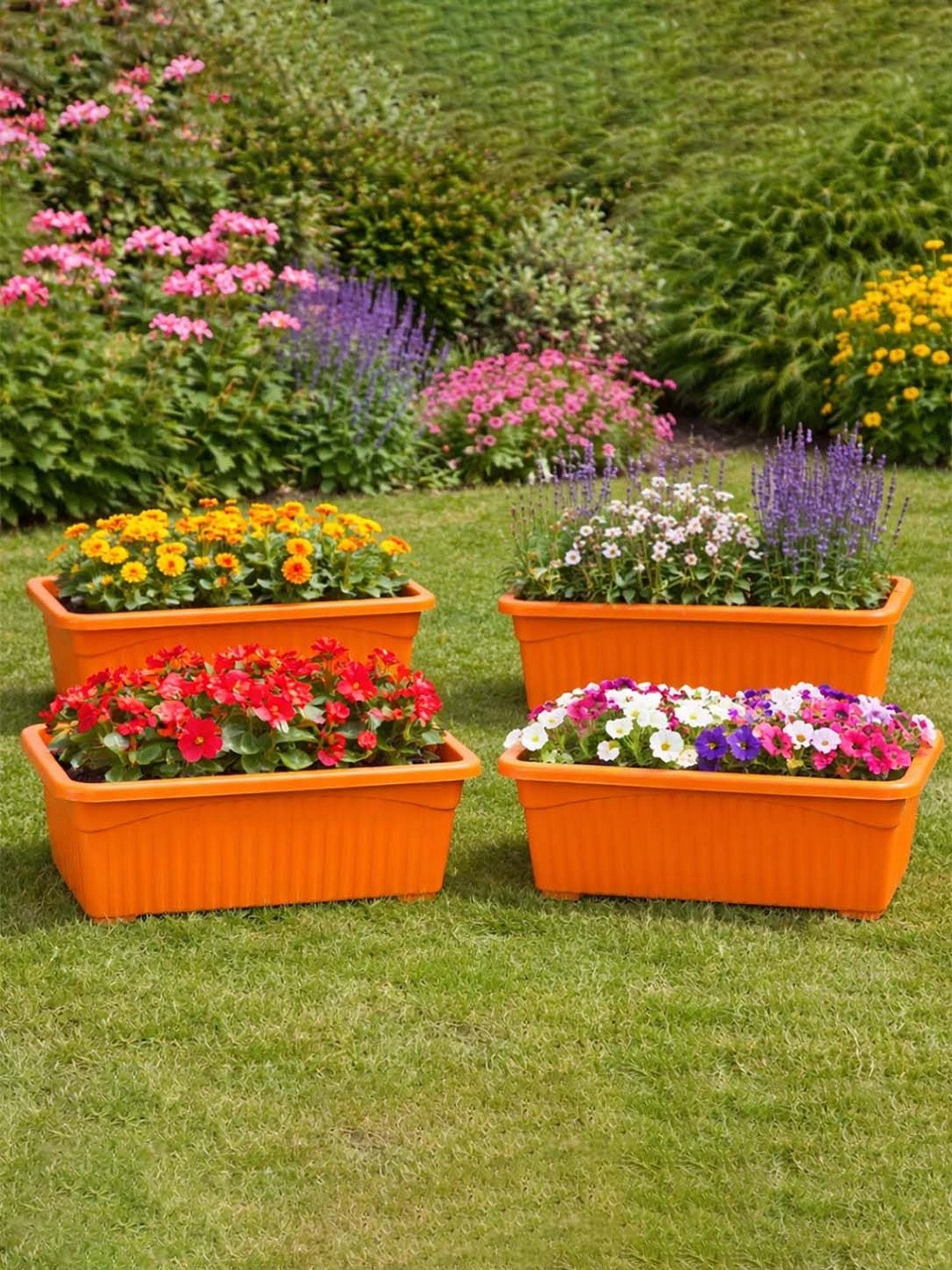 Rectangular Jupiter Flower & Plants Pots
