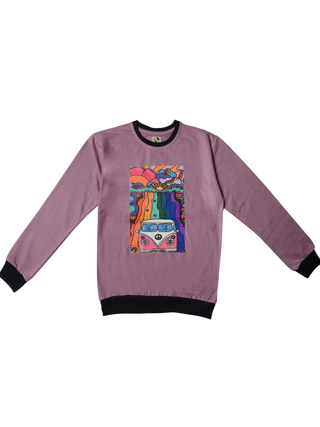 TINY HUG Boys Purple Printed Sweatshirt