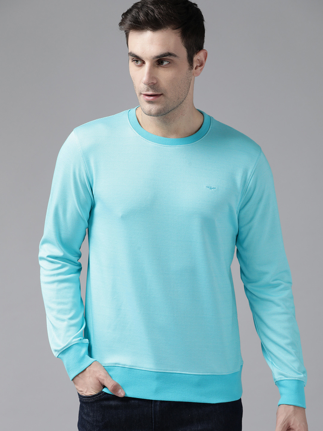 Park Avenue Round Neck Striped Sweatshirt