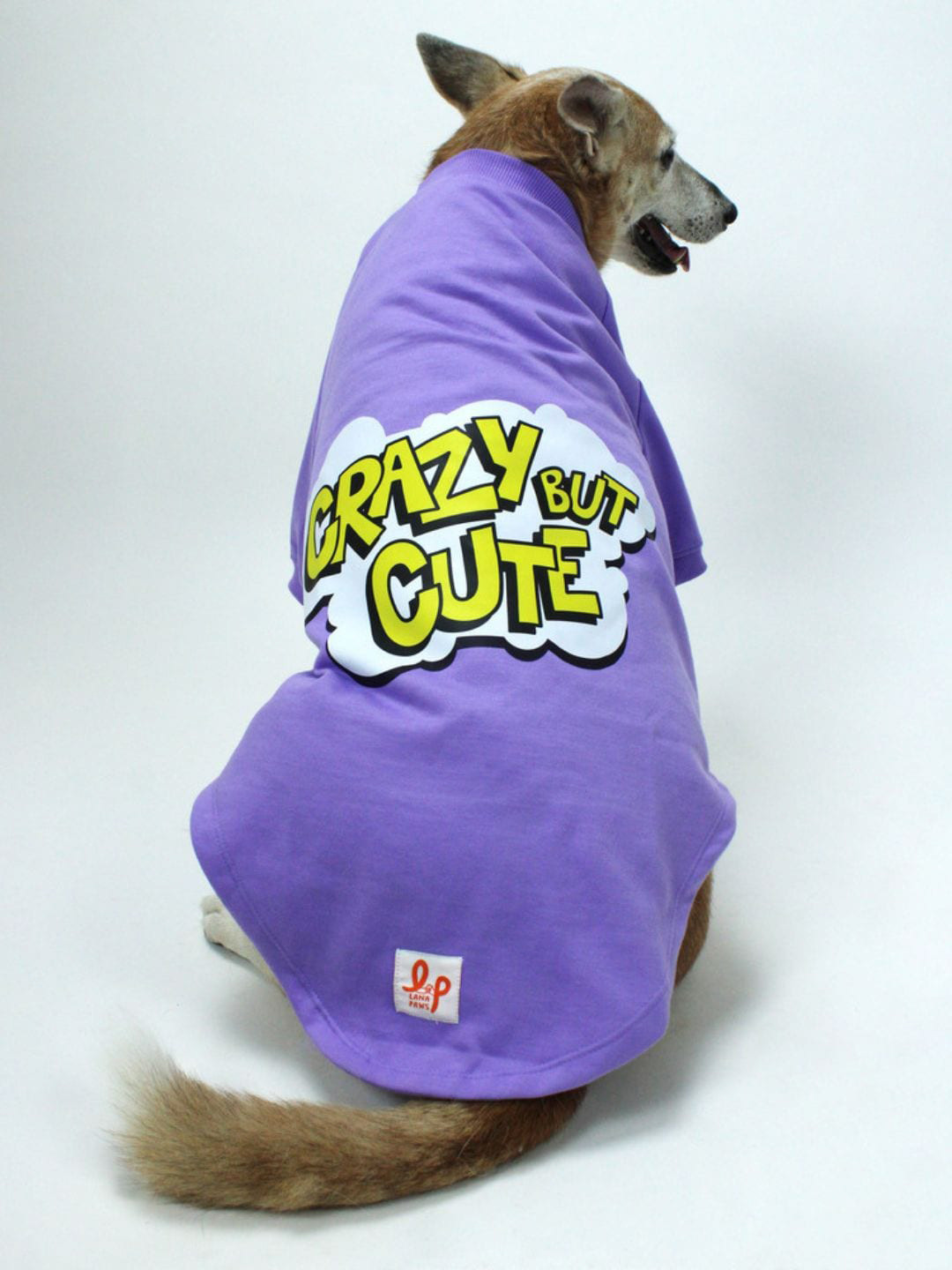 LANA PAWS Purple Dog Sweatshirt