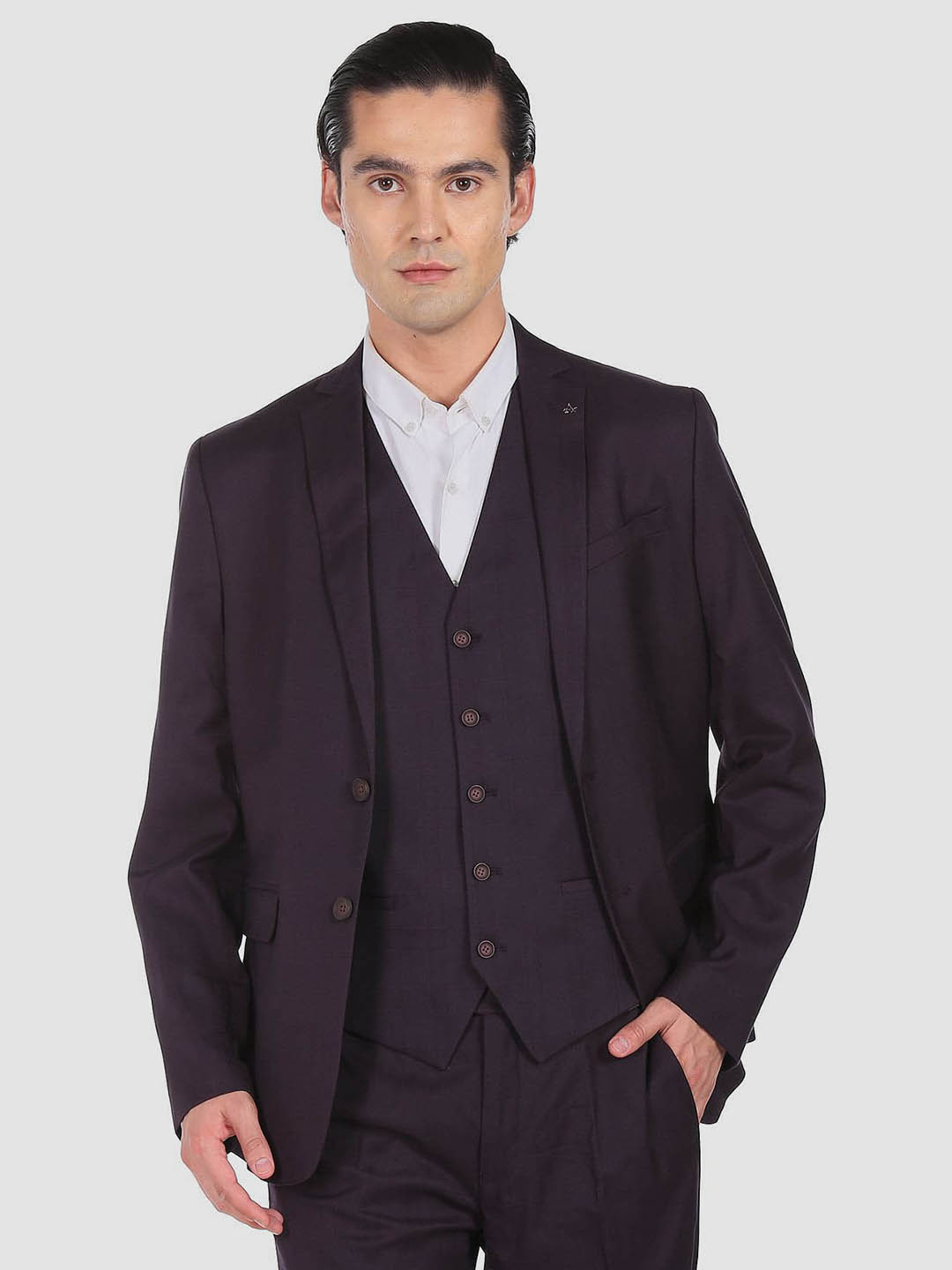 Arrow Men Purple Solid Single-Breasted 3-Peice Suits