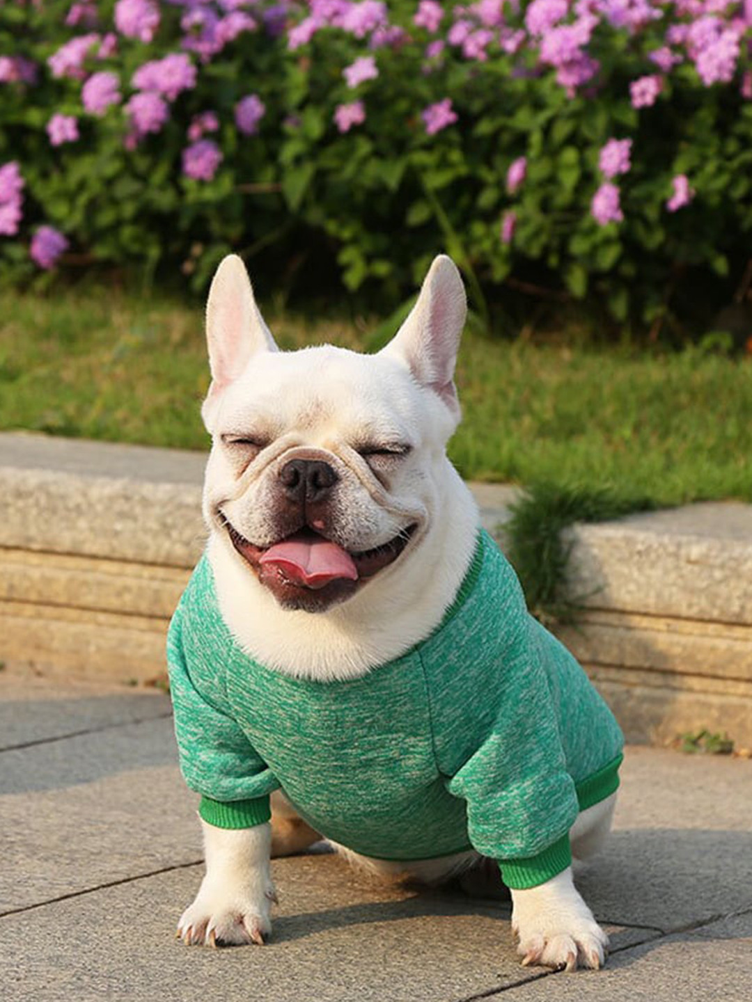 PAWCHIE Unisex Green Dog Tshirts