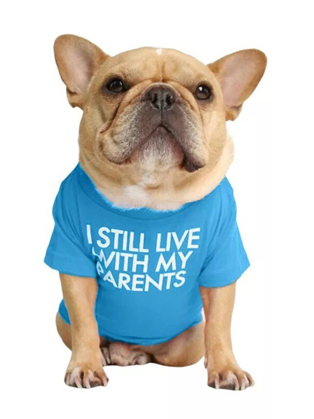 PAWCHIE  Turquoise Blue & White Printed Cotton Dog Tshirts