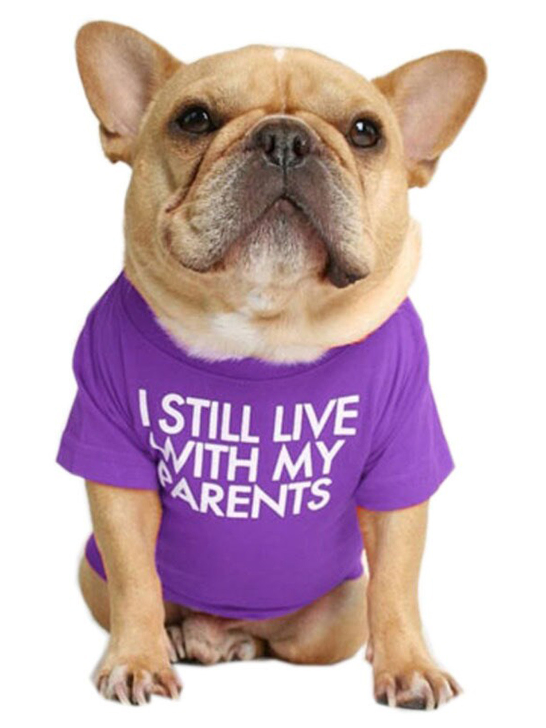 PAWCHIE Purple Printed Cotton Dog T-shirt