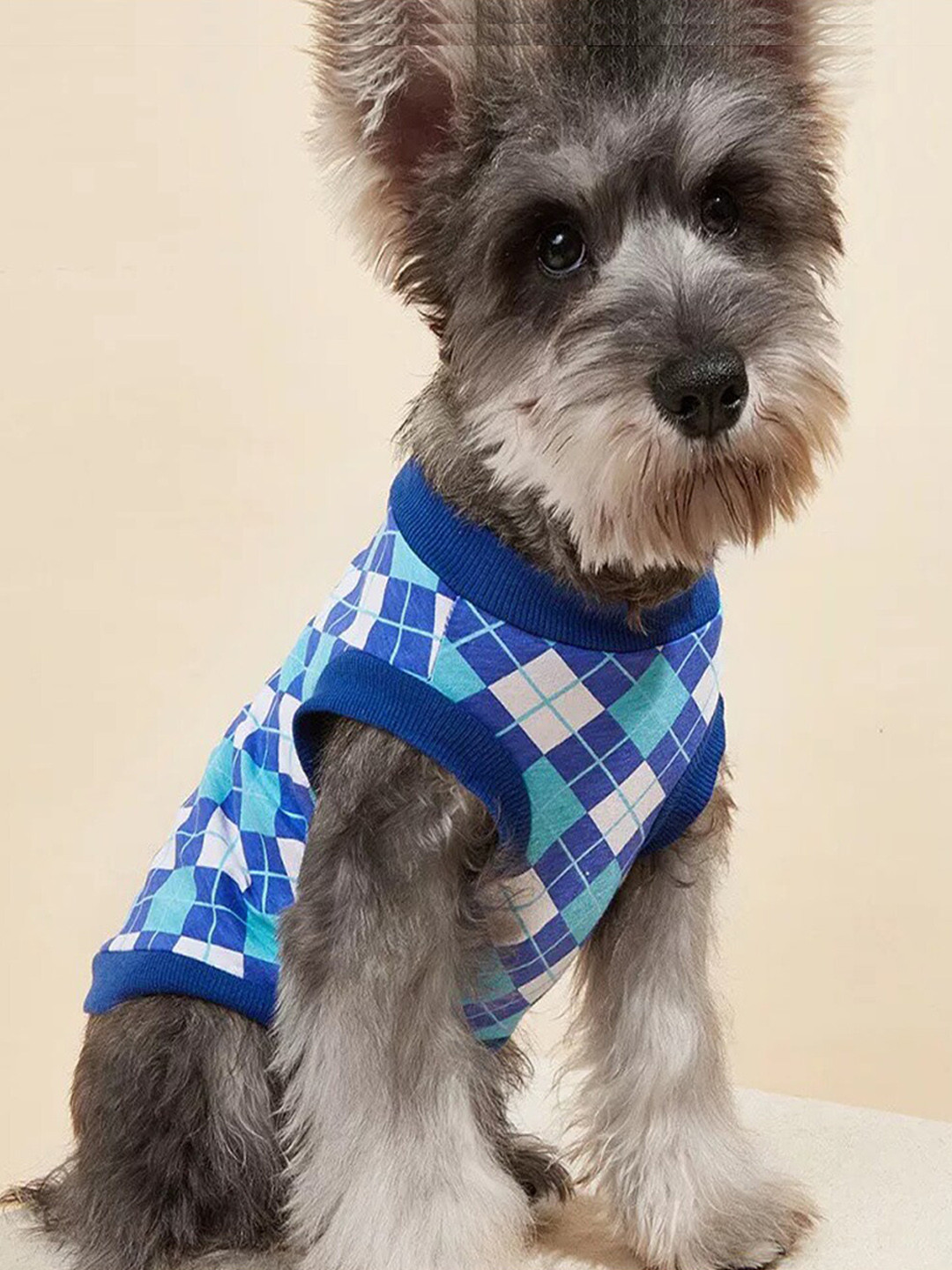 PAWCHIE Dog Blue & White Checked Cotton Dog T-Shirt