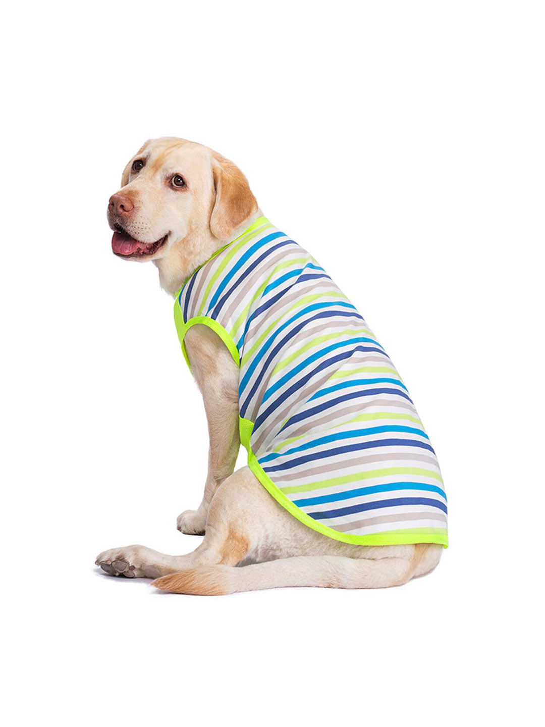 PAWCHIE Green & White Striped Dog Tshirt