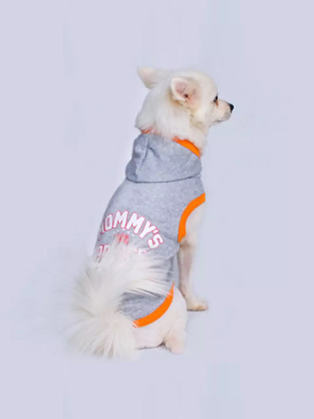 PAWCHIE Grey Graphic-Printed Dog T-shirts
