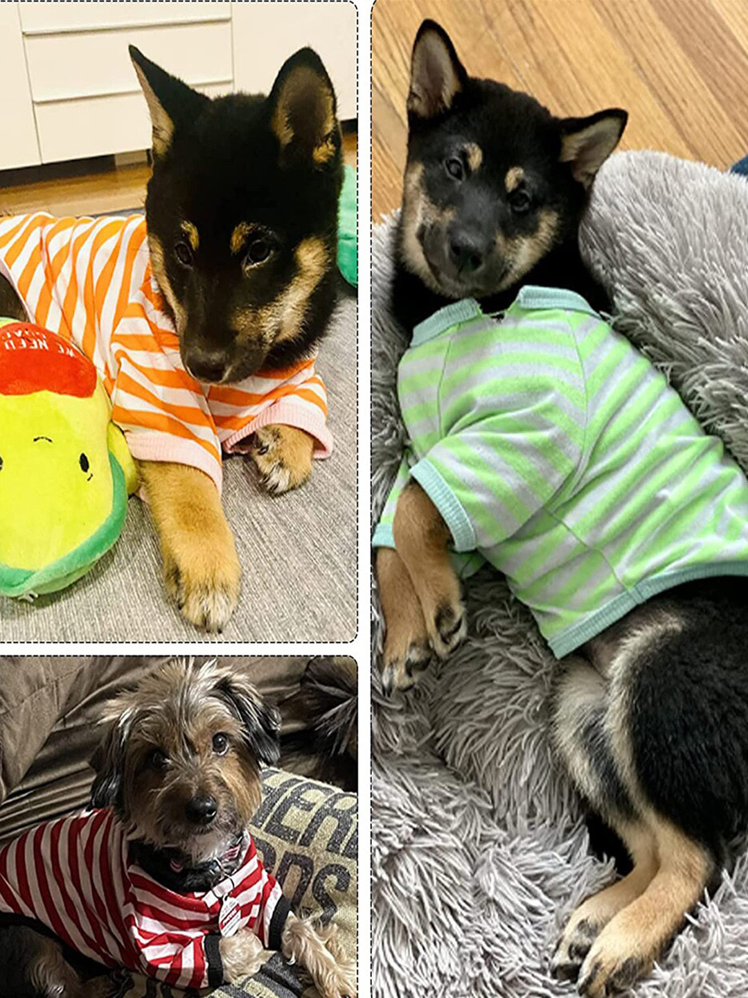 PAWCHIE Green Striped Cotton Dog T-Shirt