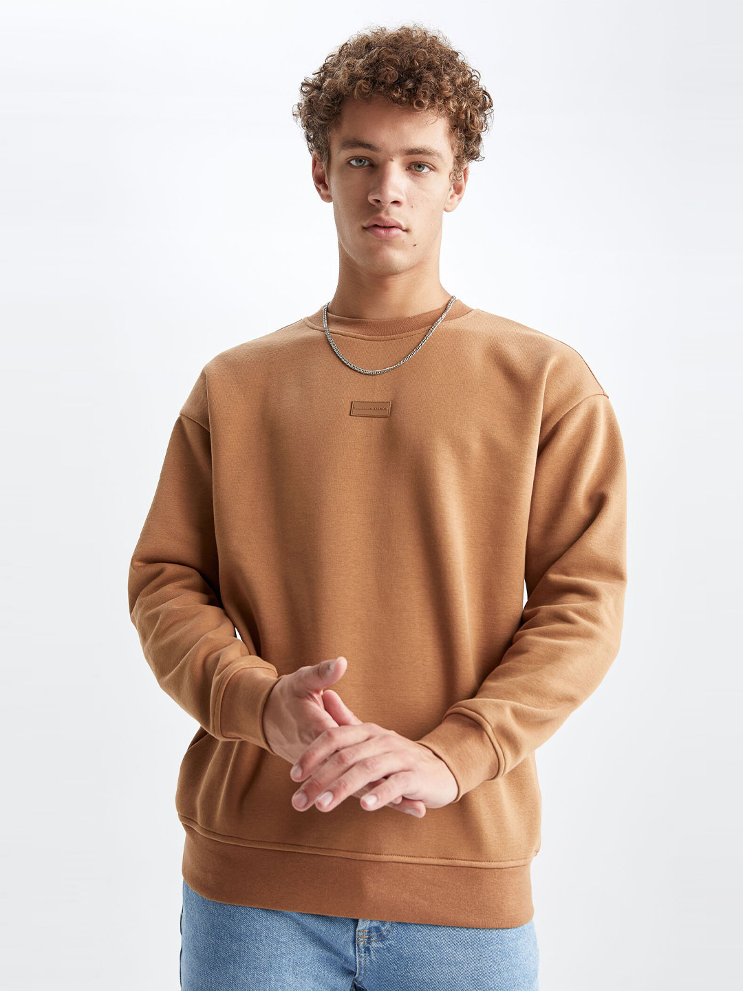 DeFacto Men Brown Sweatshirt