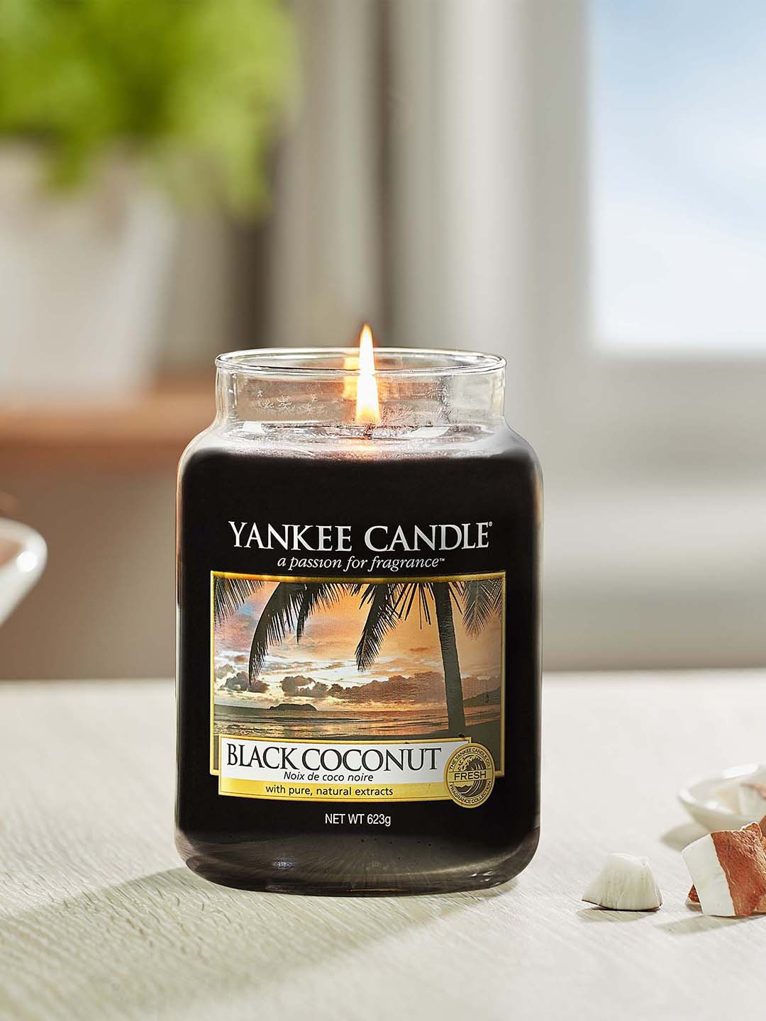YANKEE CANDLE Original Medium 1 Wick Black Coconut Solid Geometric Regular Jar Candles