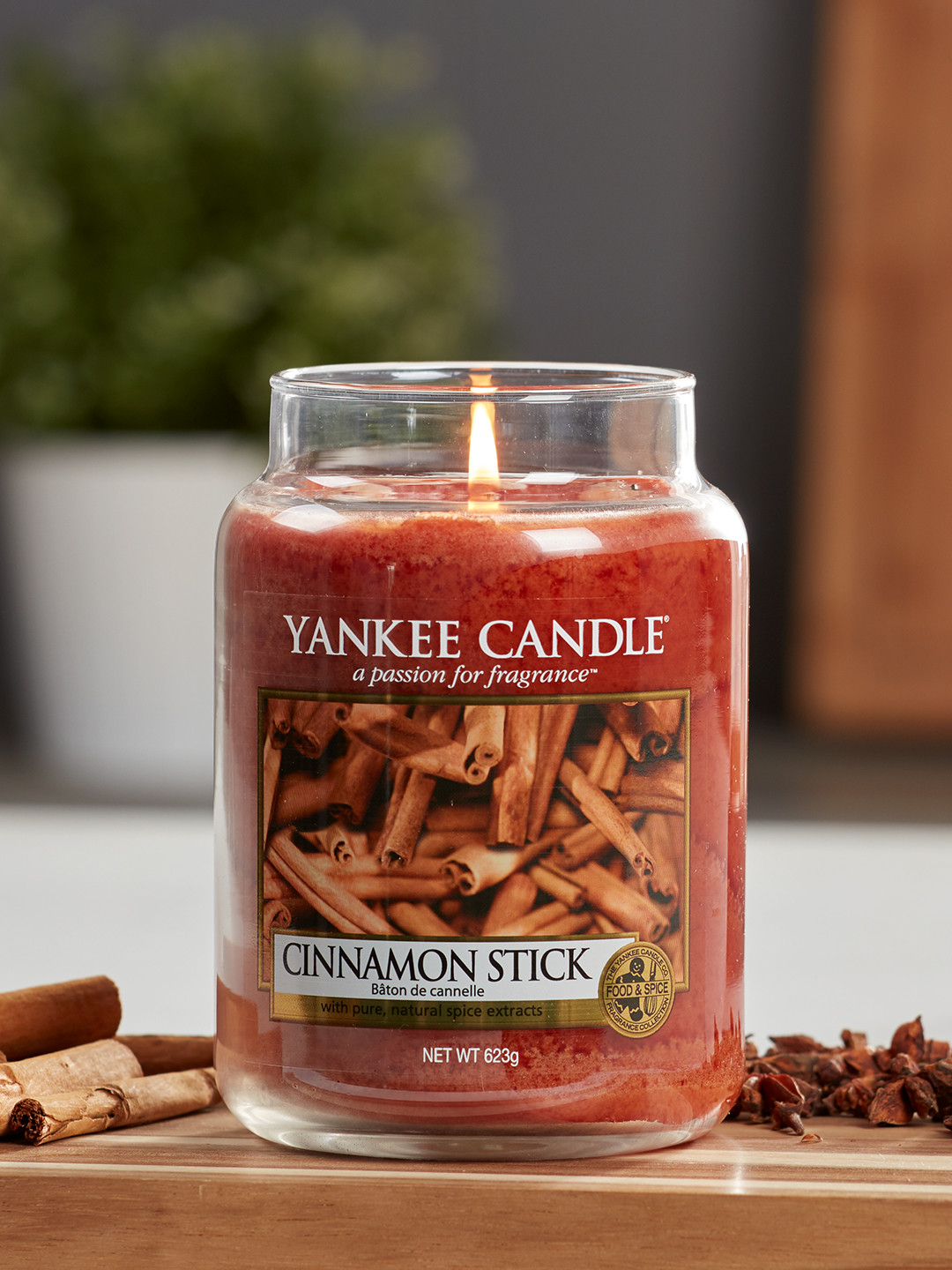 YANKEE CANDLE Scented 1 Wick Solid Cinnamon Stick Solid Geometric Regular Jar Candles