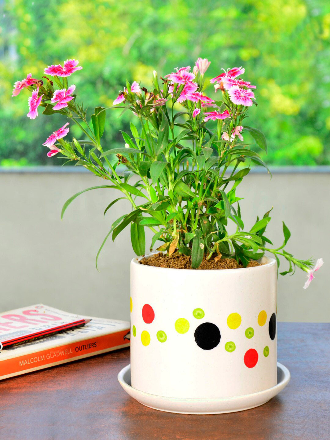 StyleMyWay White & Red Printed Planter Pot With Tray