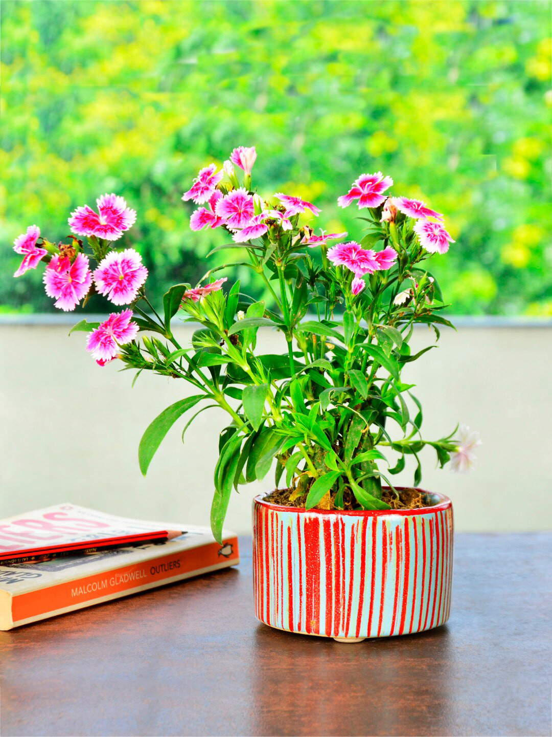 StyleMyWay Red & Blue Striped Ceramic Planters