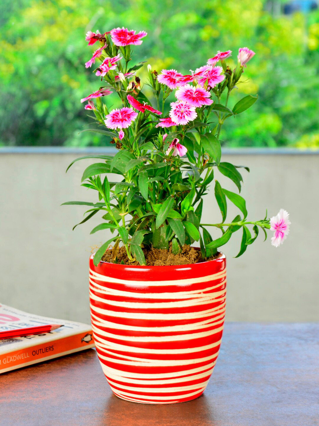 StyleMyWay Red Striped Ceramic Planter