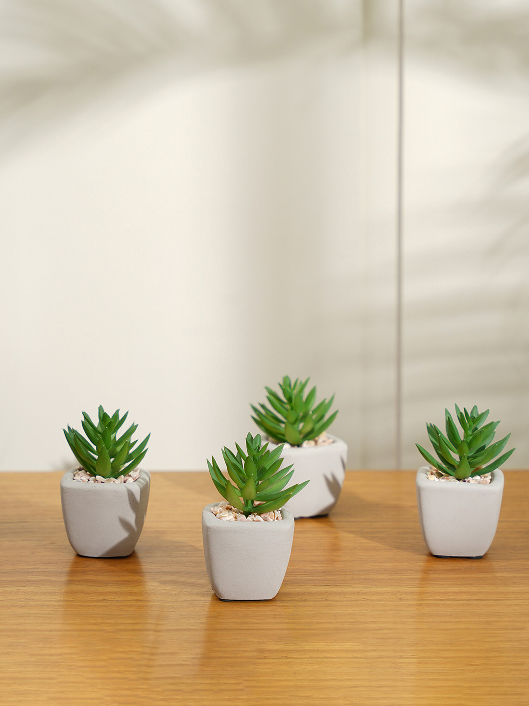 Pure Home and Living Set of 4 Green & White Cactus in With Pot