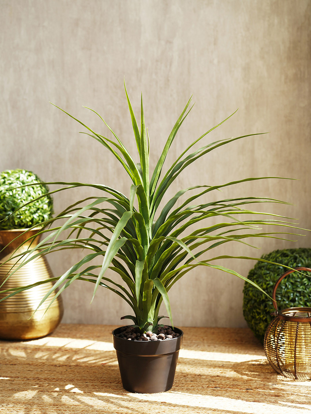 Pure Home and Living Green Nolina Recurvata Artificial Plant