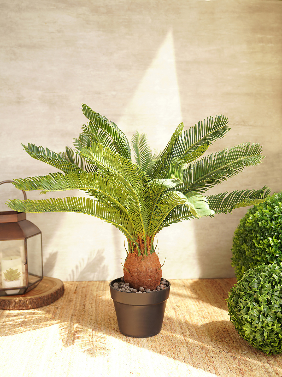 Pure Home and Living Green & Blue Textured Artificial Cycas Plant with Pot