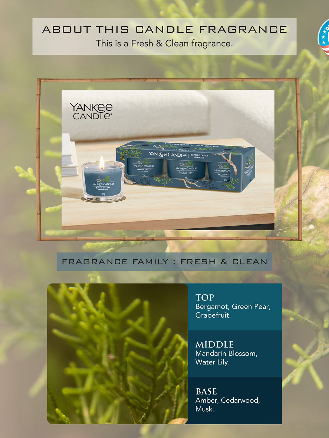 YANKEE CANDLE Bayside Cedar Votive 3Pcs Scented 1 Wick Solid Geometric Regular Jar Candles