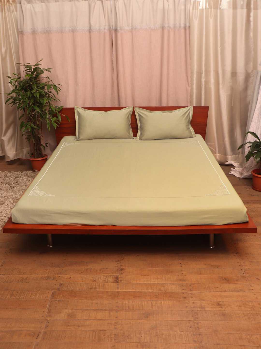ZEBA Green King Cotton Bedsheet with 2 Pillow Covers